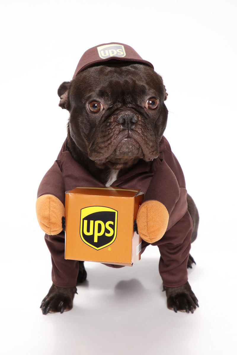 UPS Driver Dog Costume