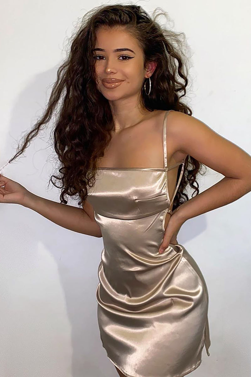 Satin mini discount dress fashion nova