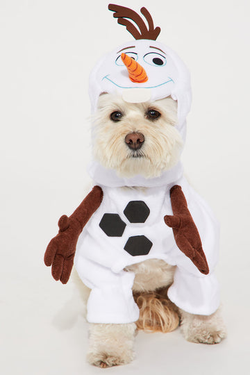 Pup Not So Scary Shark Dog Costume - Grey, Fashion Nova, Costumes