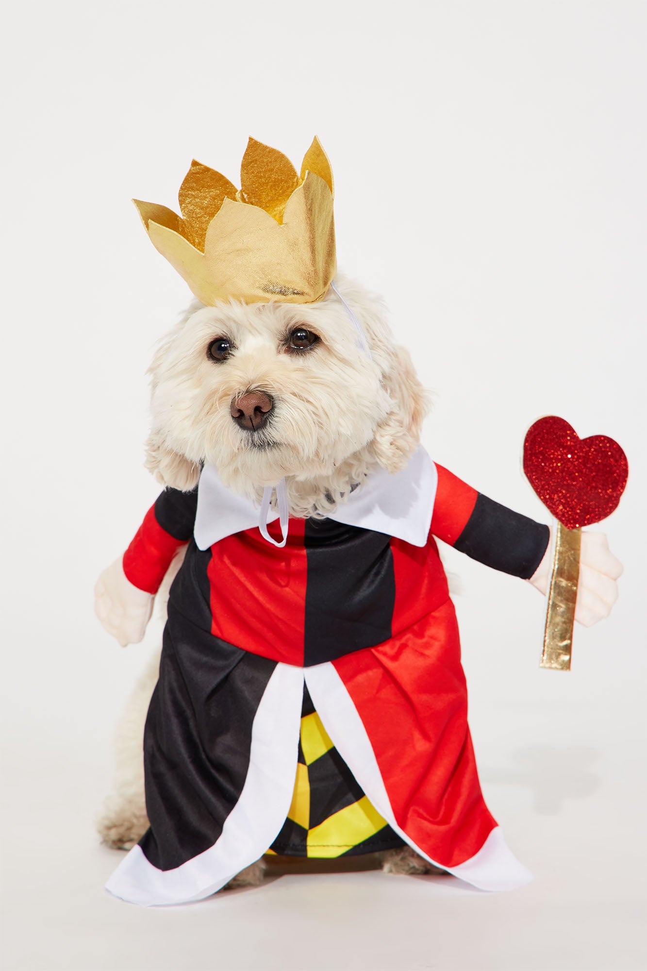 Pup Queen Of Hearts Disney Dog Costume - Red/combo