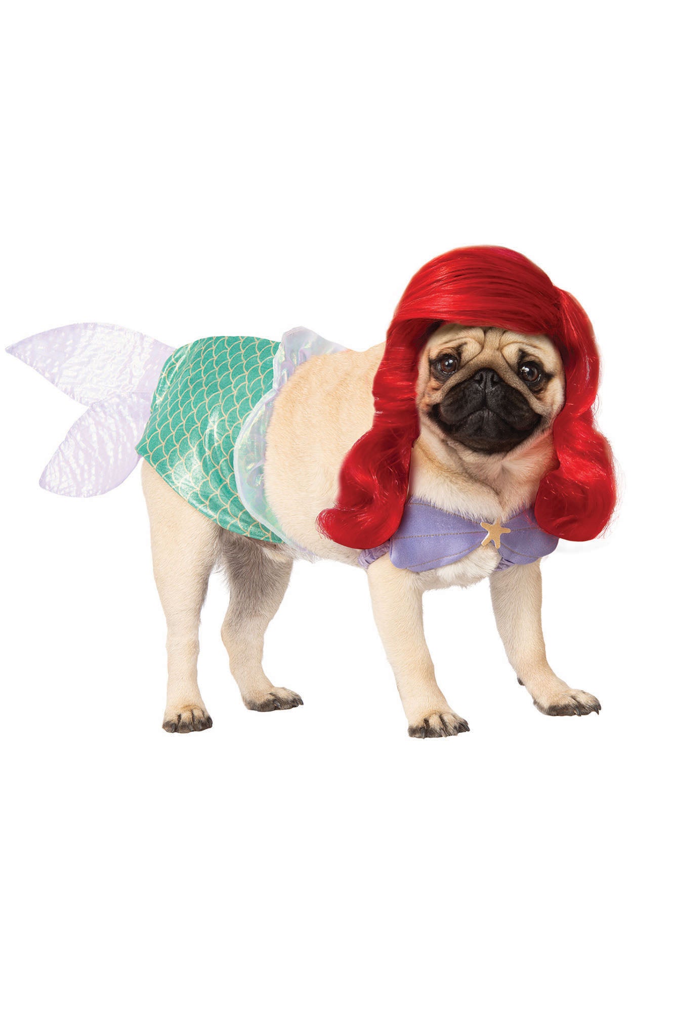 Pup Ariel Little Mermaid Disney Dog Costume - Multi Color, Fashion Nova, Pet  Costumes