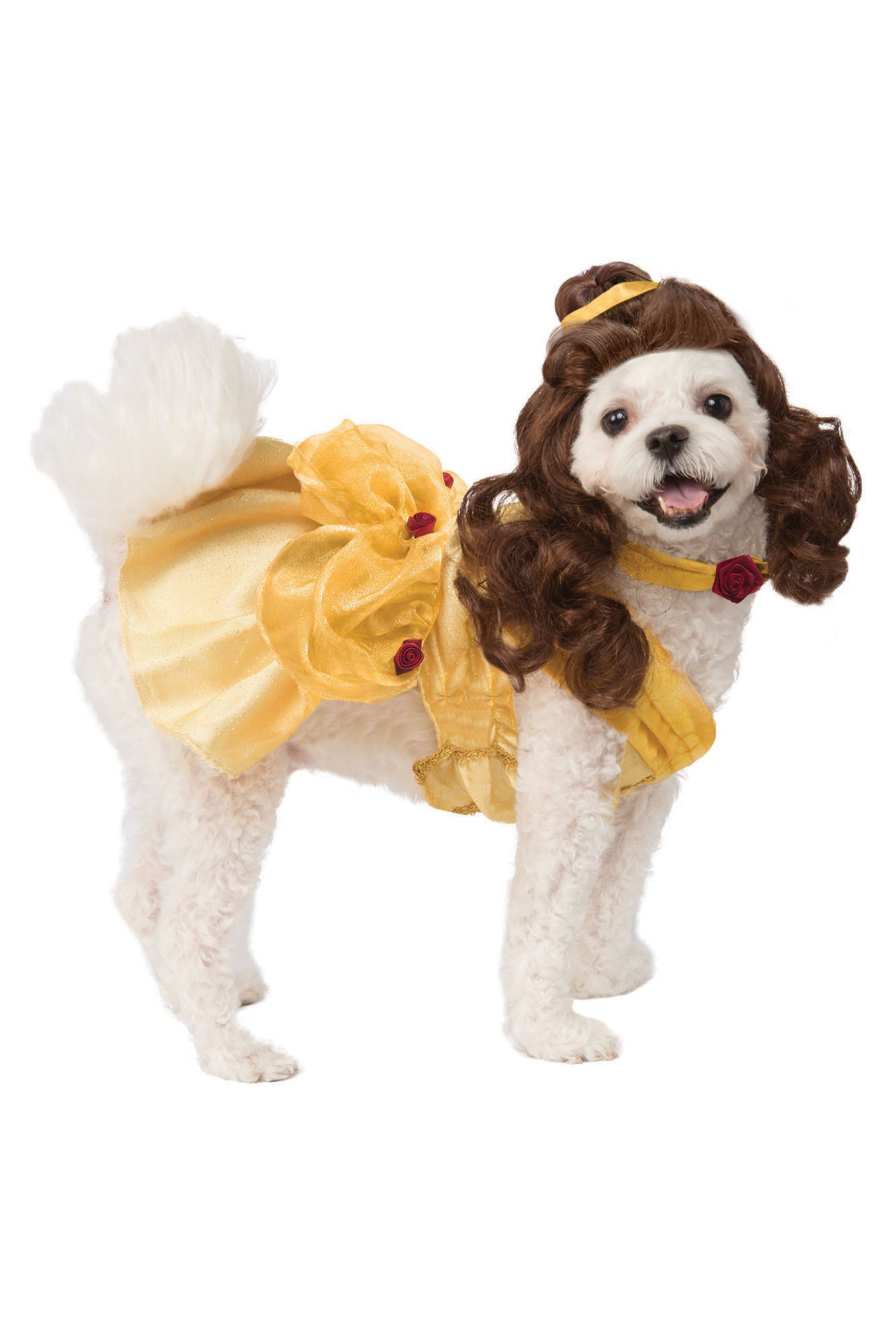 Fashion nova outlet dog costumes