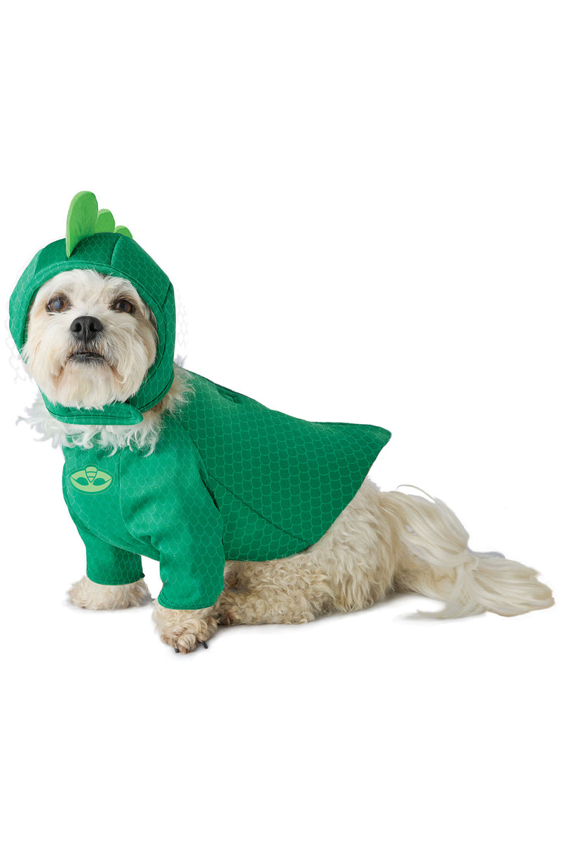 Pup Gekko Hero Dog Costume - Green | Fashion Nova, Costumes | Fashion Nova