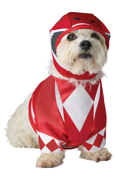 Fashion nova dog on sale costumes