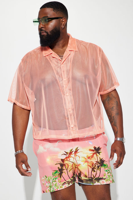 Organza Mesh Blouse  Sheer pink blouse, Pink mesh top, Mesh top