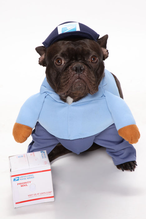 Dog Baseball Costume 