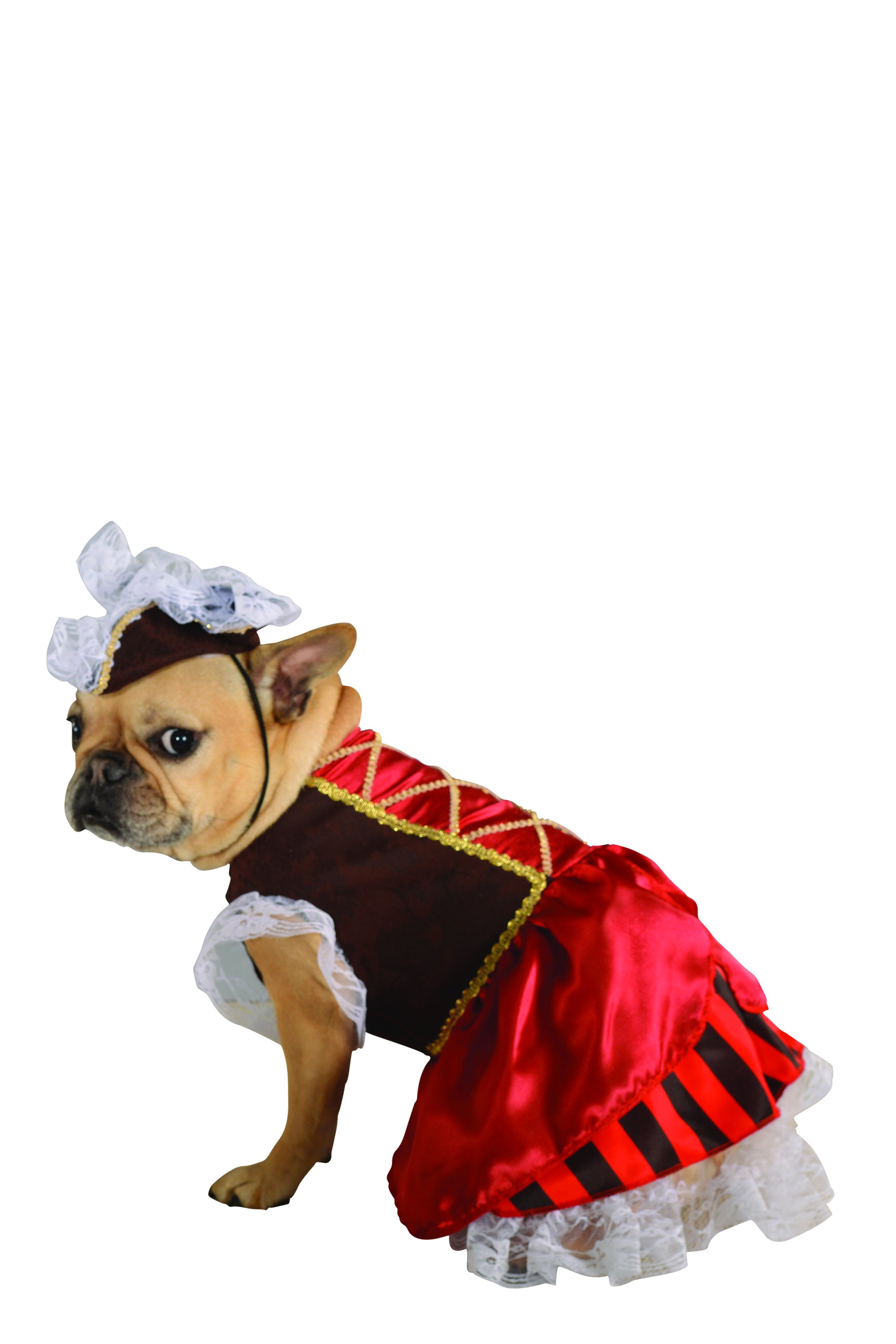 Pirate Girl Pet Costume - Red/Combo | Fashion Nova, Womens Costumes | Fashion  Nova