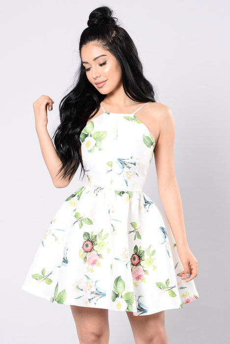 Skater dress 2025 fashion nova